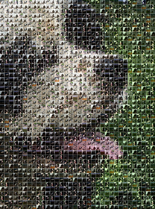 Жил-был пЁс...