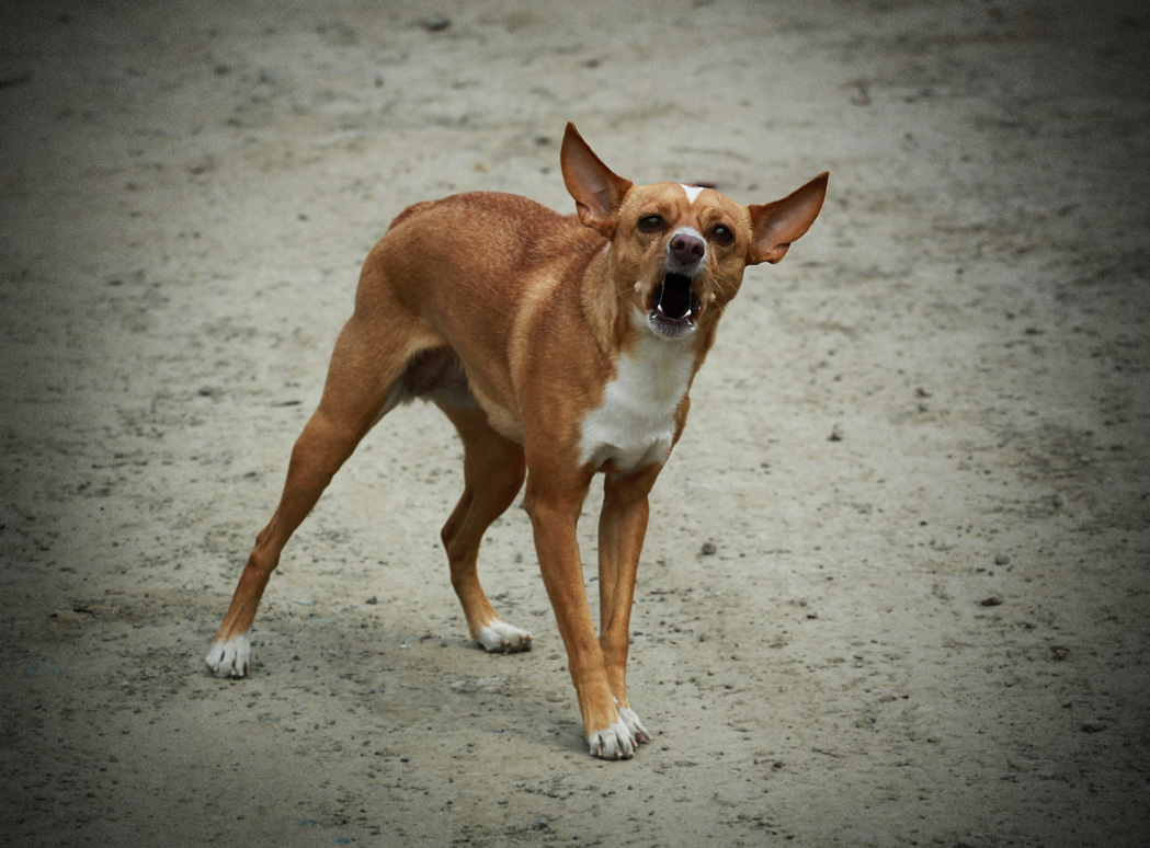 Маленький а Важный