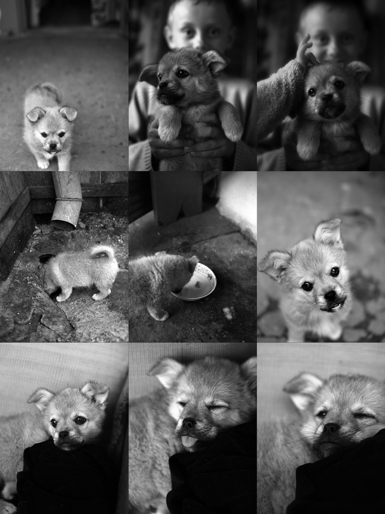 "Один день из жизни.."