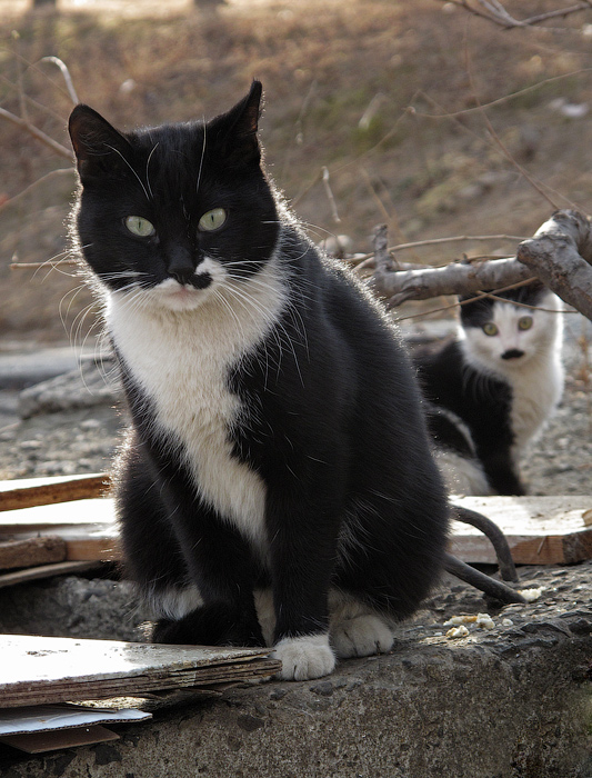 Семейный портрет