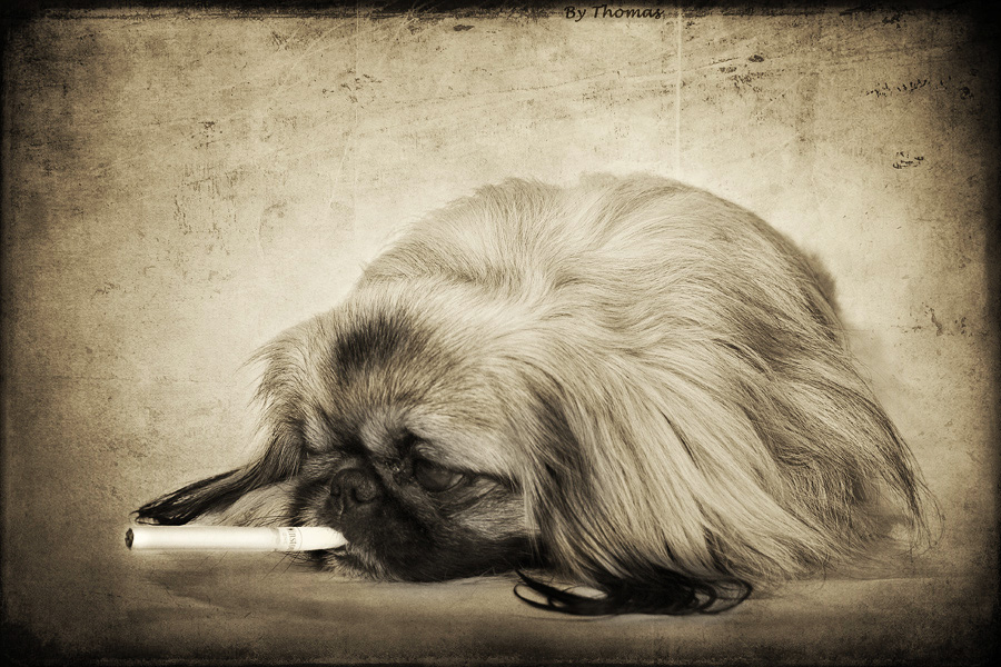 закурить не будет???