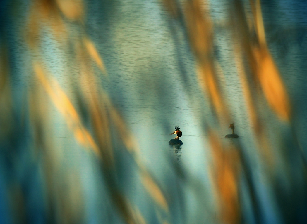 Вечерняя прогулка