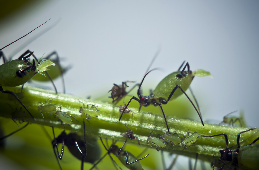 Жить очень Тлево и оТлененно