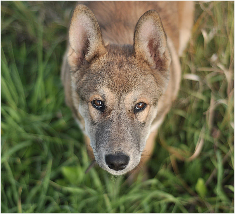 Отдаление встречи...