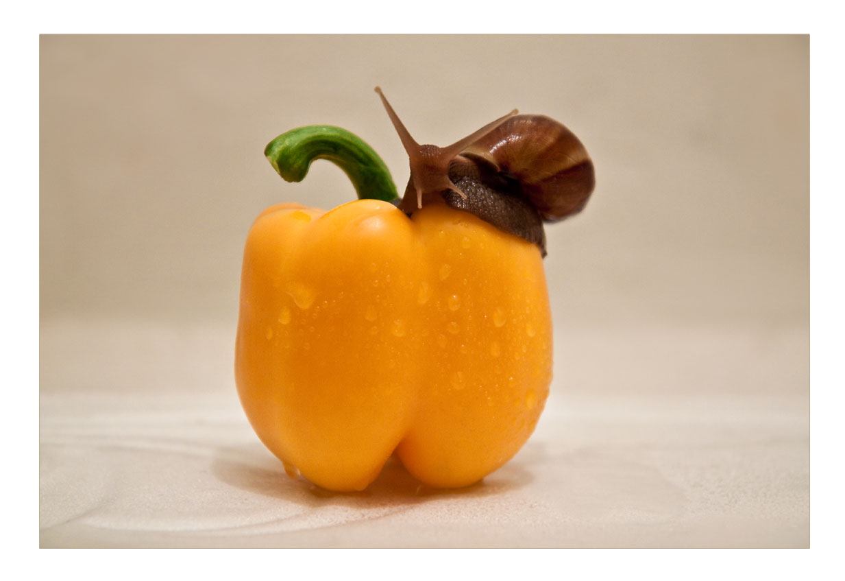 Работы непочатый край...