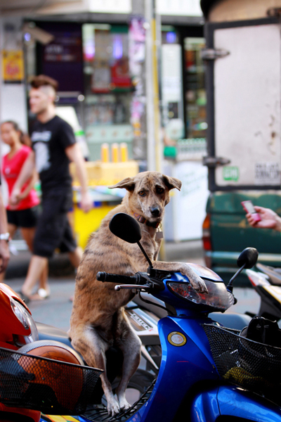 "..подсмотренное"