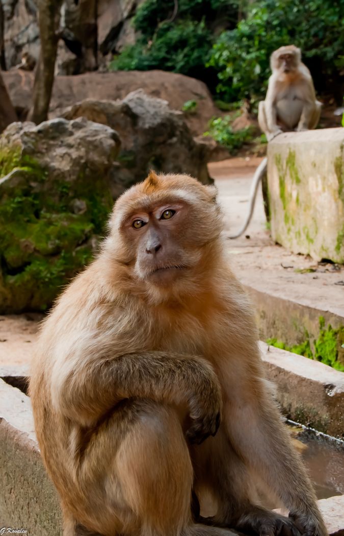 Так в чём же он смысл жизни то...