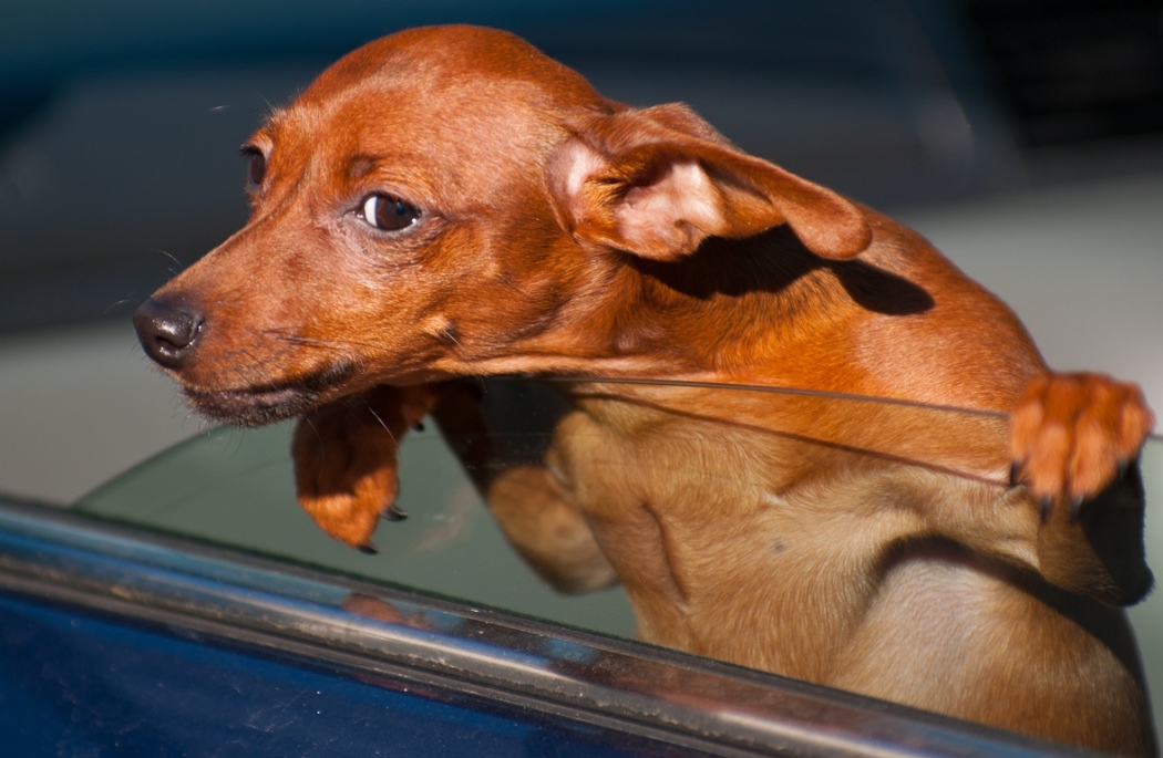 На охране границ