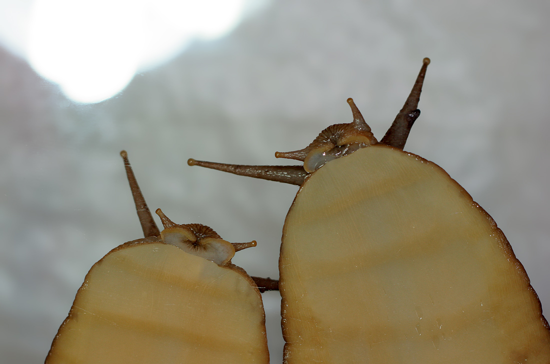 Ну здравствуй, это мы!