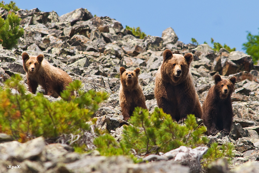 мама а люди есть? нет дети - это фантастика!!!