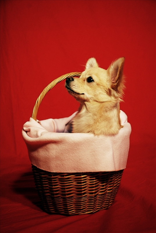 Сердце Океана Люк Скайвокер