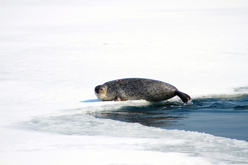 И что вы смотрите