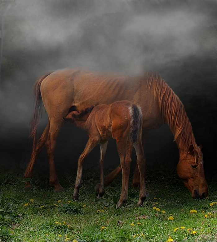 материнство