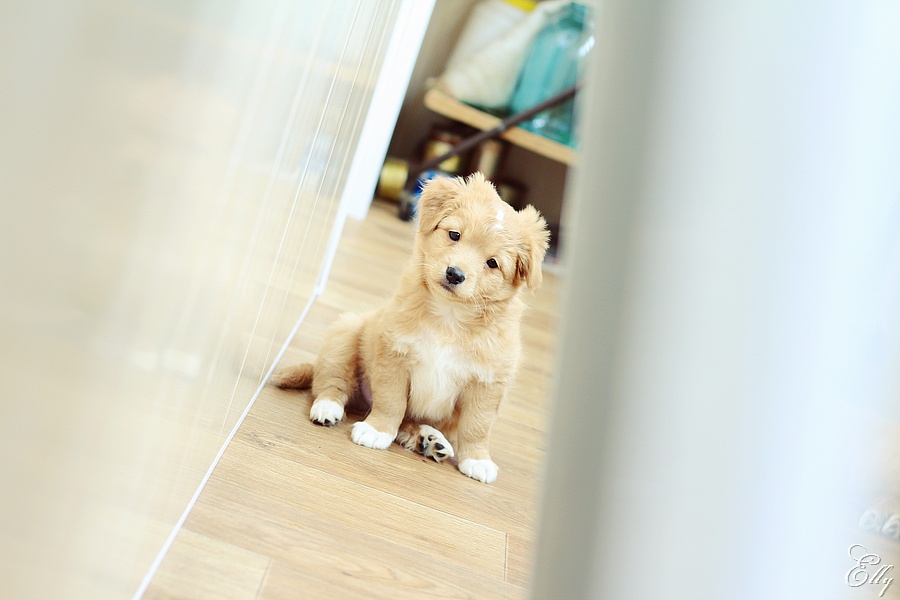 Любопытный малыш)