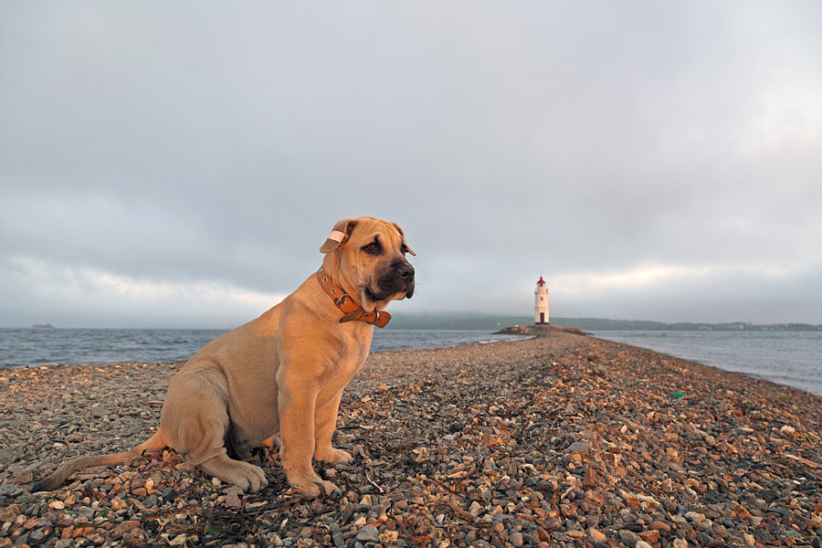 Колумб и море