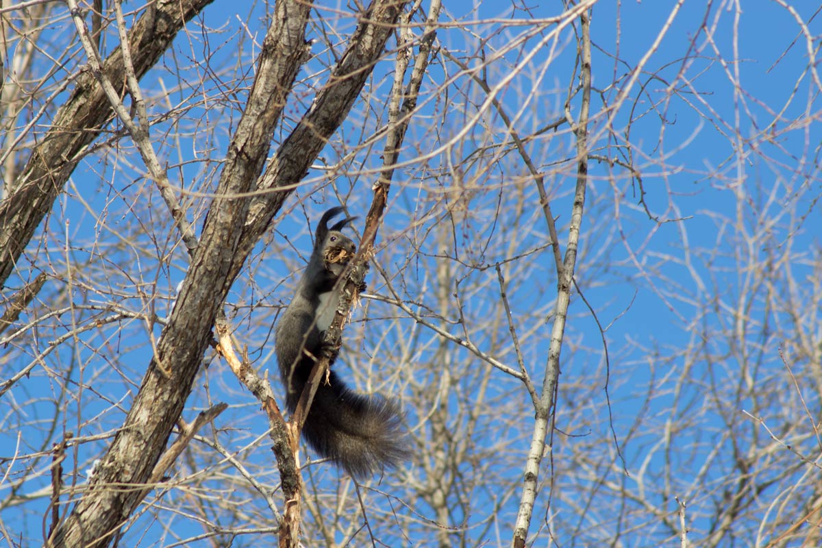 Приятного аппетита!