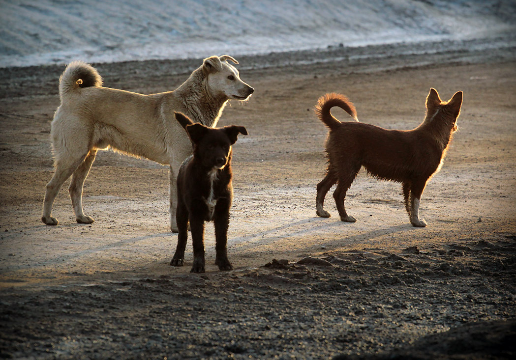 Надо Ждать во все стороны