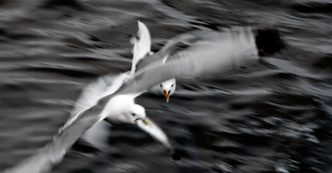 ...а табачок врозь.