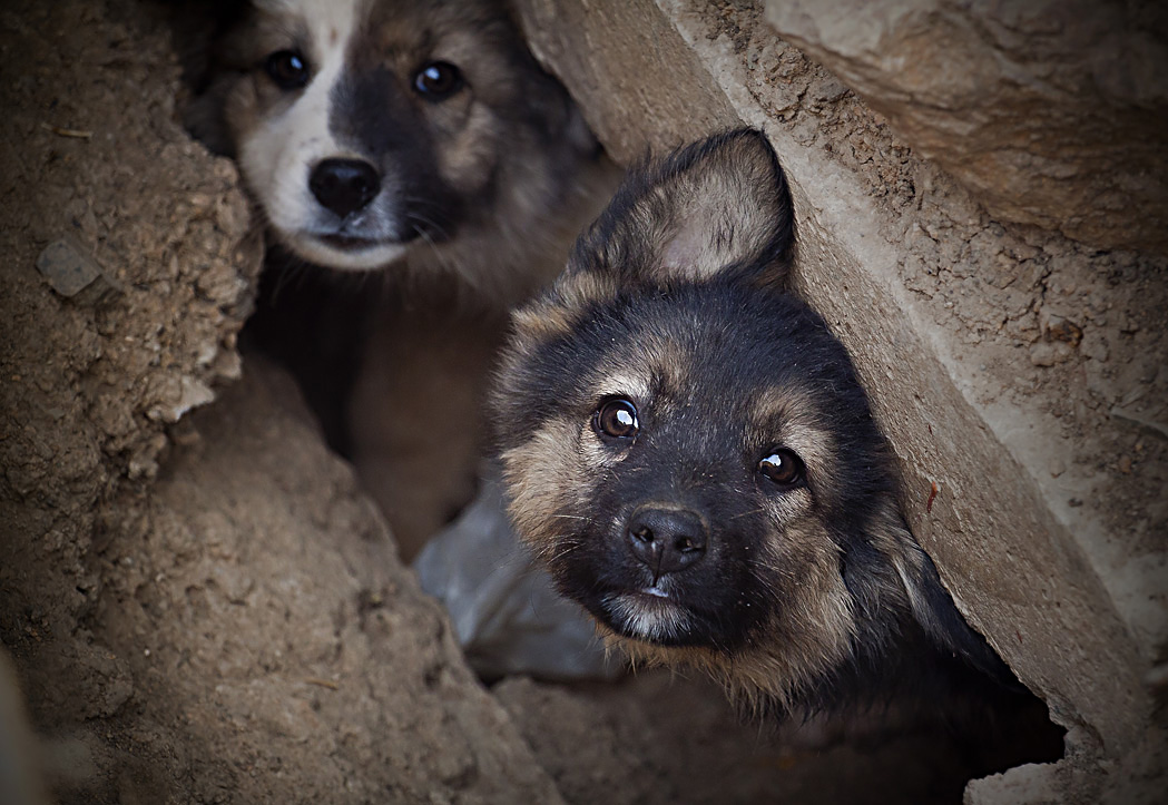 Дети подземелья