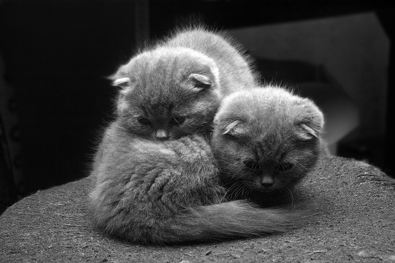 быть вместе...