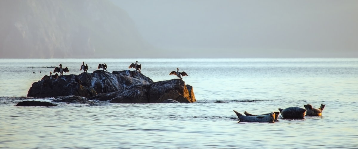 Утренняя гимнастика.