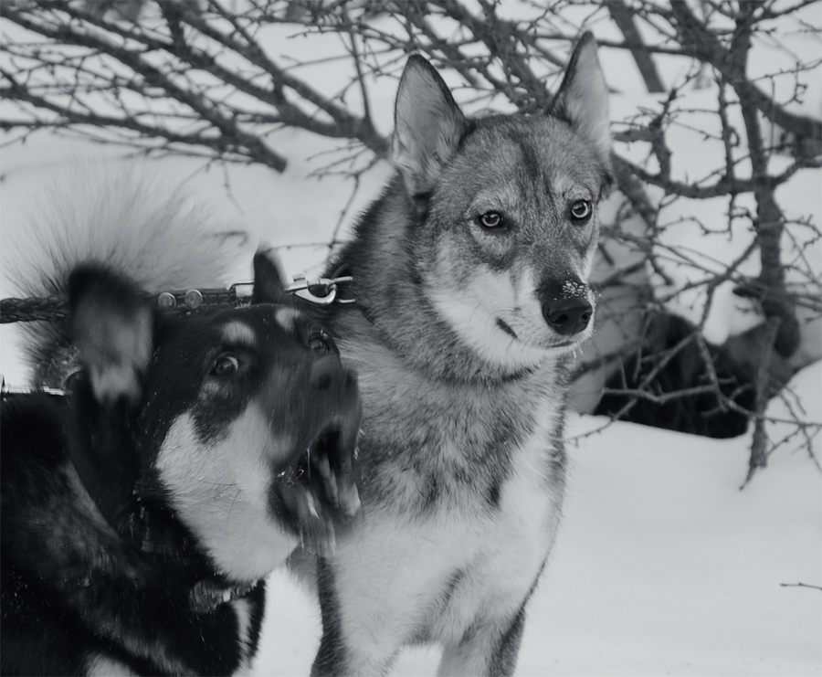 Я бываю такая разная: то капризная, то прекрасная…