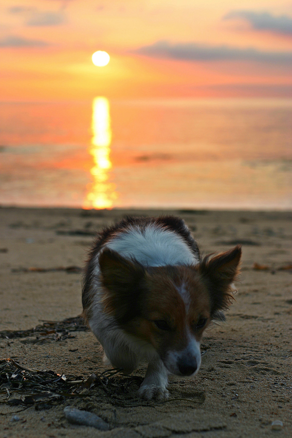 Женькины промыслы