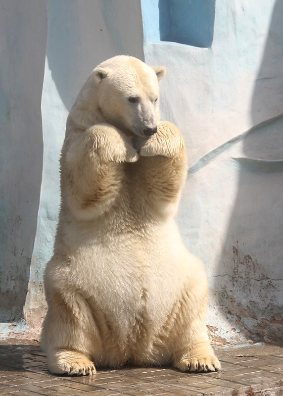 Вот , такие дела...