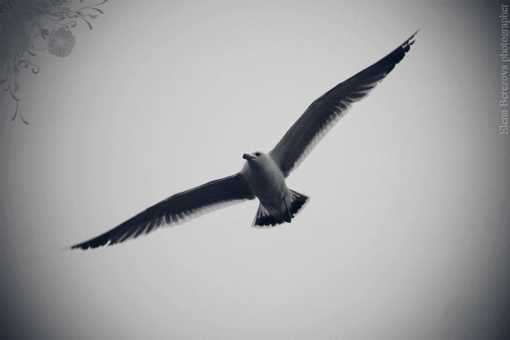 Только вперед!