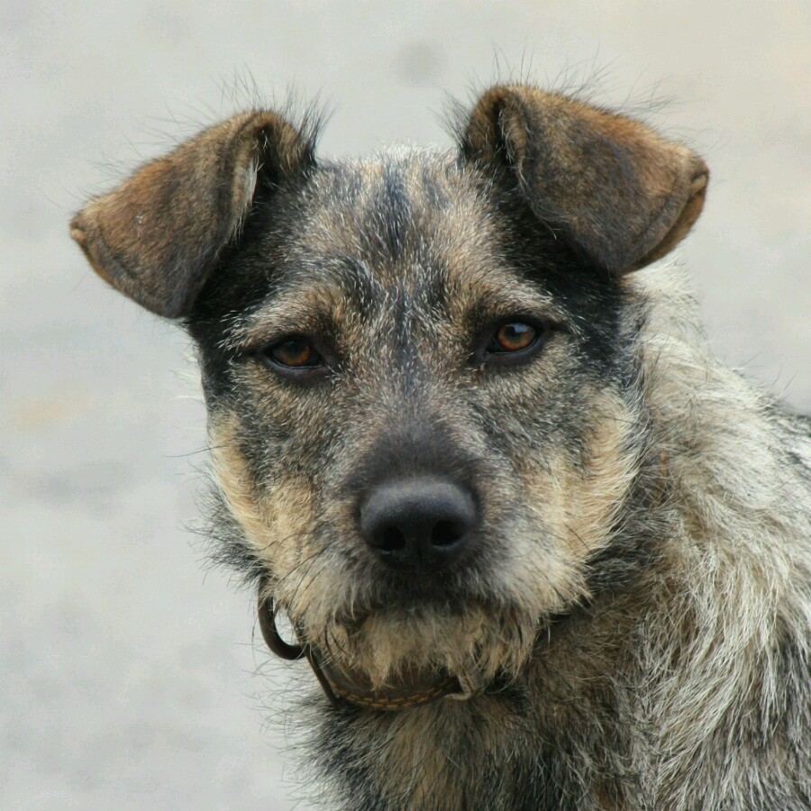 Не детский взгляд