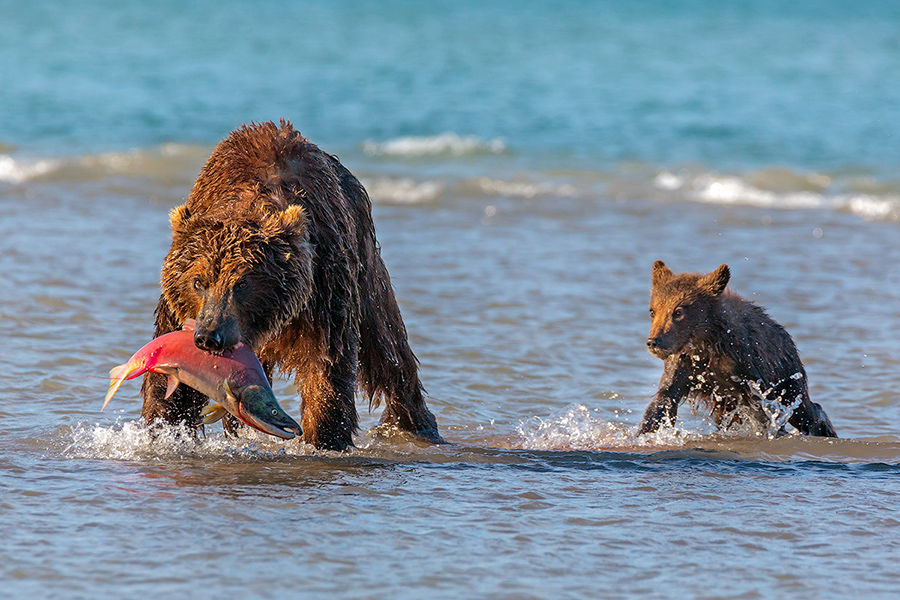 Мама, поделись!!!