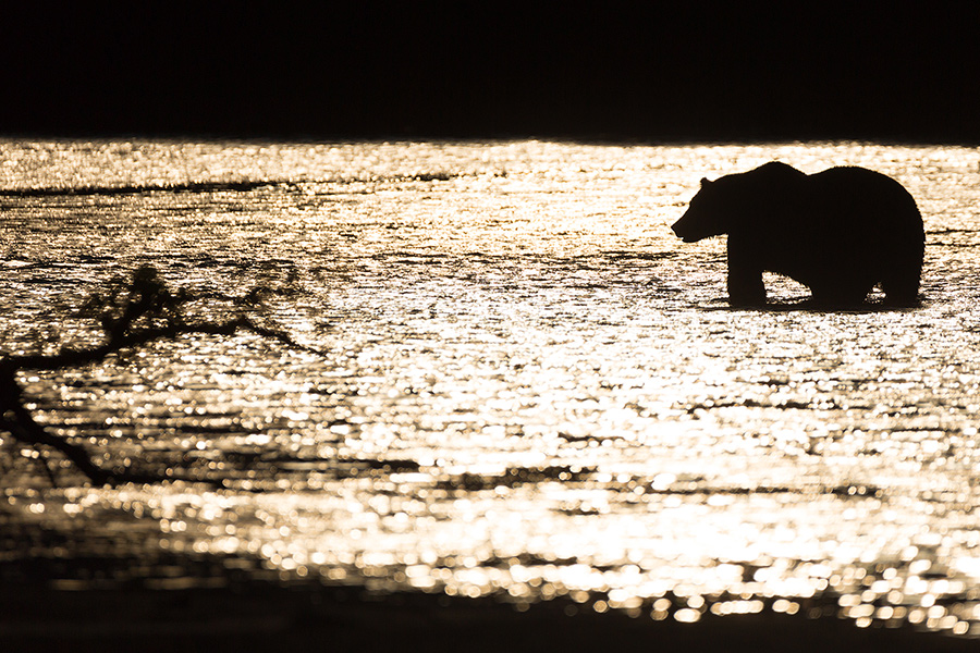 Рыбалка на закате