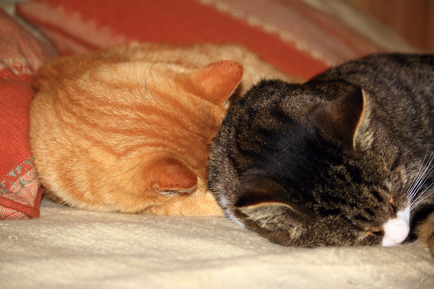 Шерочка с Машерочкой