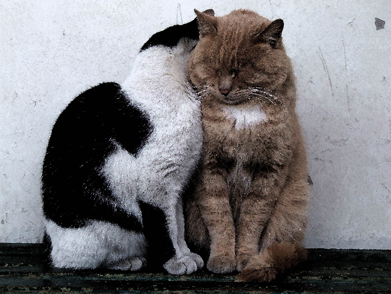 Два одиночества..