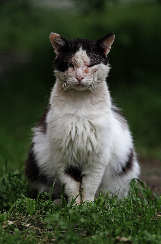 Жизнь - не сахар