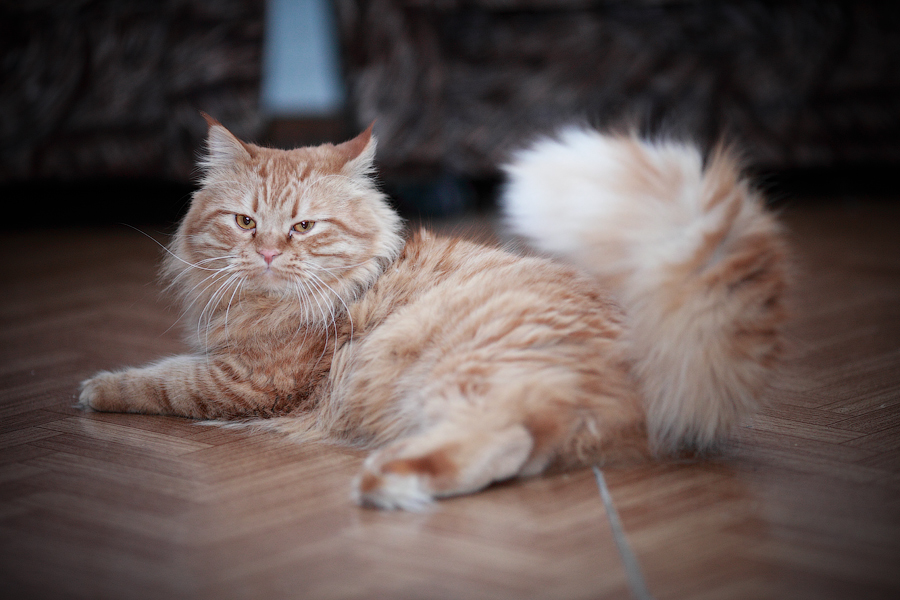 Только тронь, попробуй...