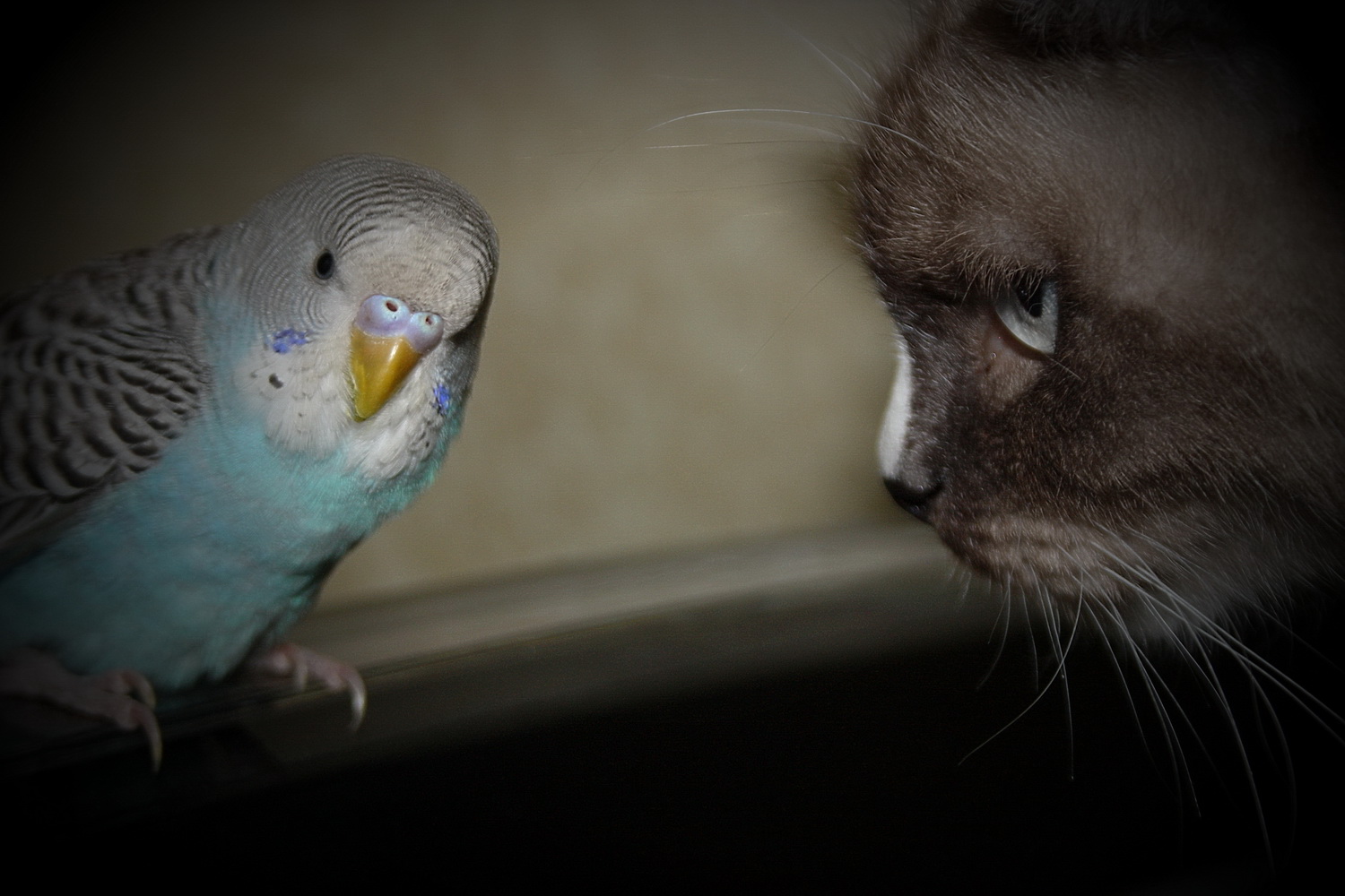 Я вас внимательно слушаю...