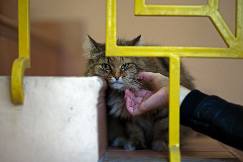 Чесали бы вы отсюда...