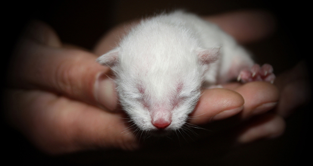 С днем рождения!