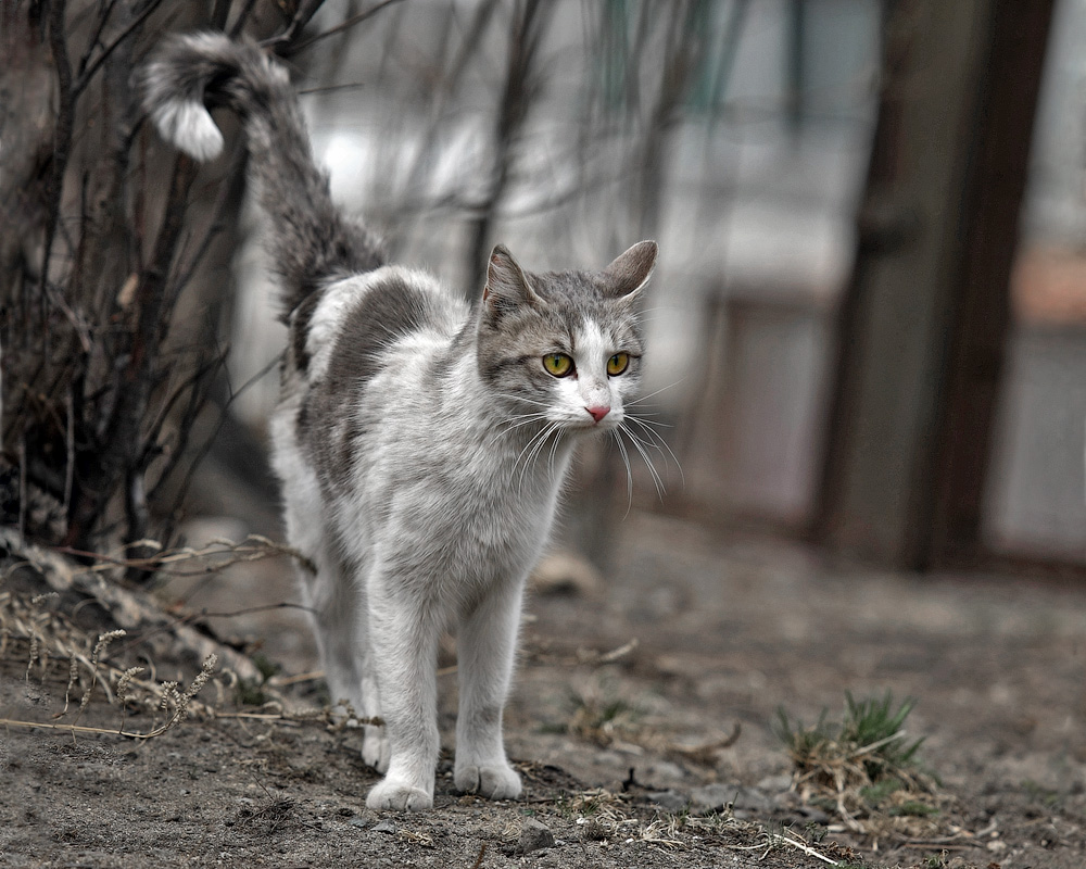 Хочешь похудеть? Cпроси меня как!