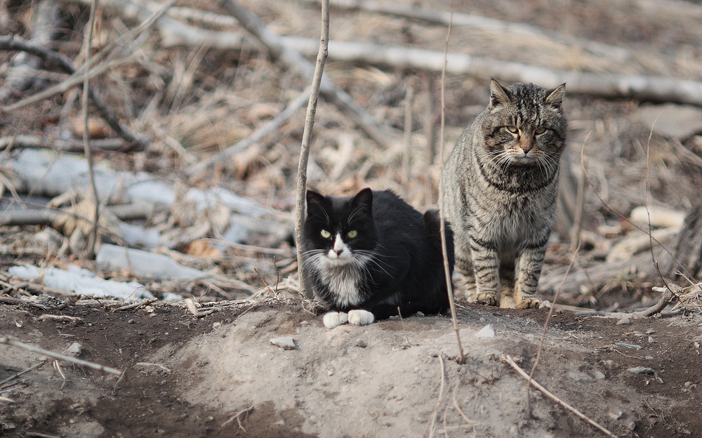 а ты с какого района?