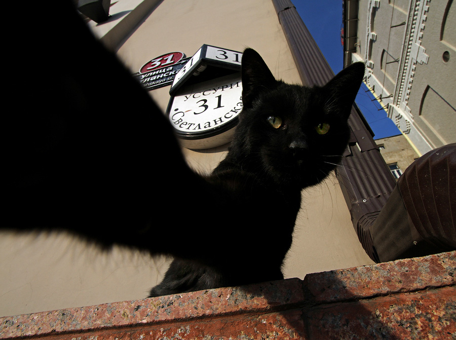 Давай, до свидания...