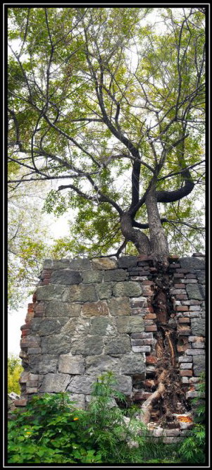 =никогда не сдавайся=