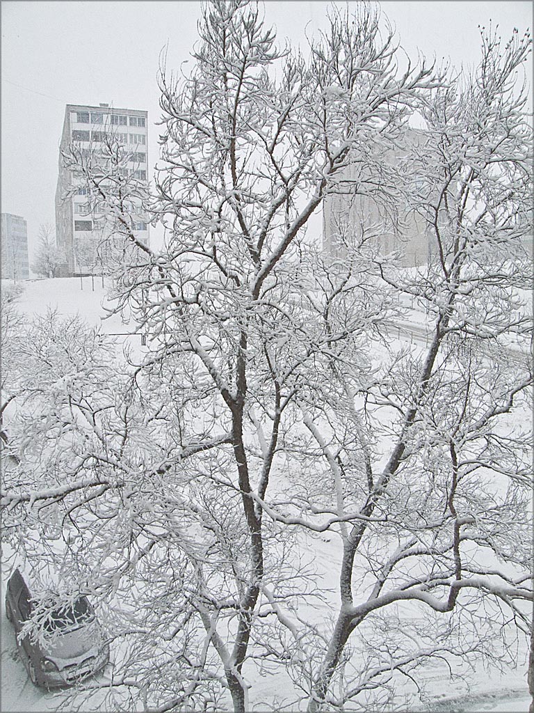 Вот такая весна.... 13 04 2010