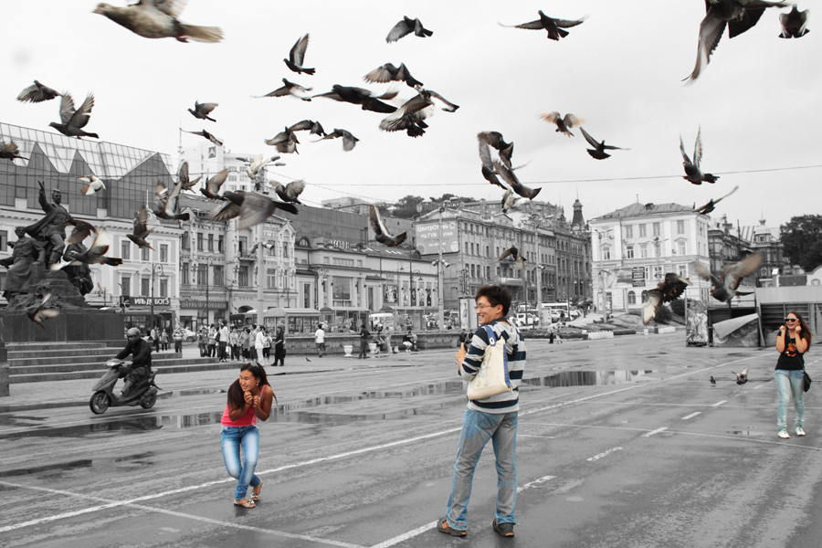 Столичные "коршуны....!"