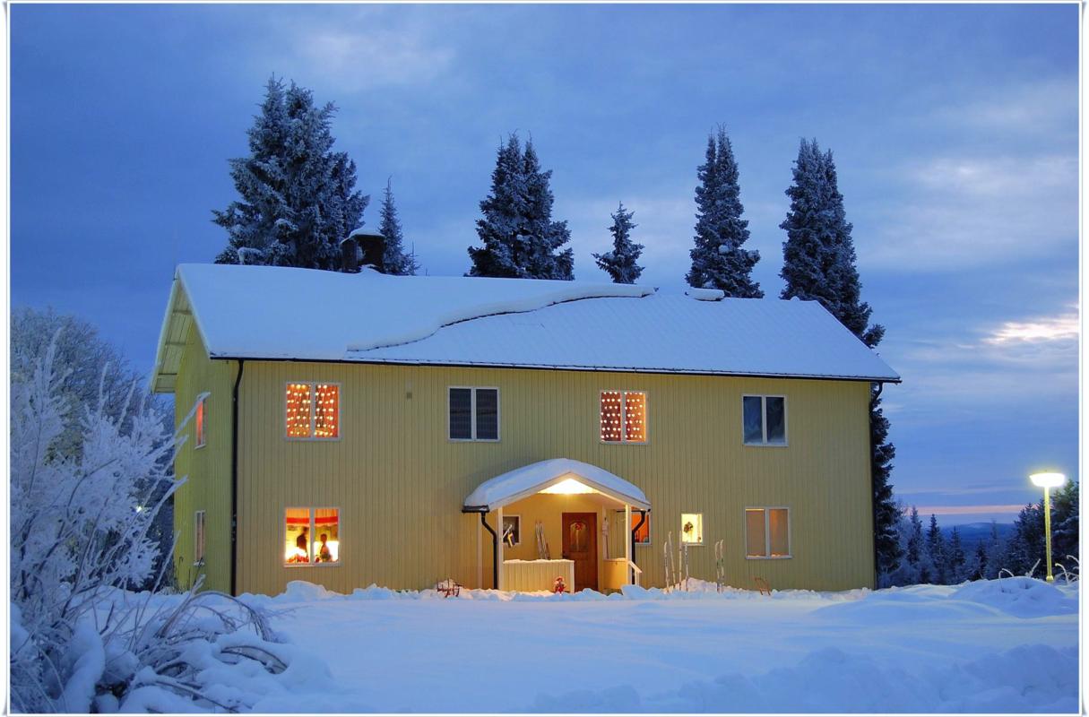 Утро На Рождество