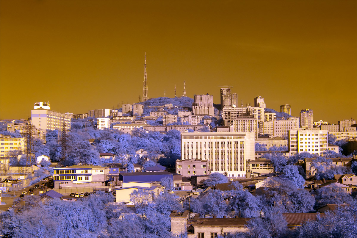 Слава Ван Гога не дает мне покоя