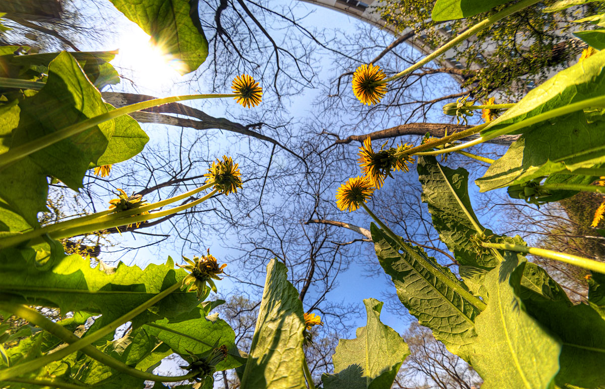 глазами мураша