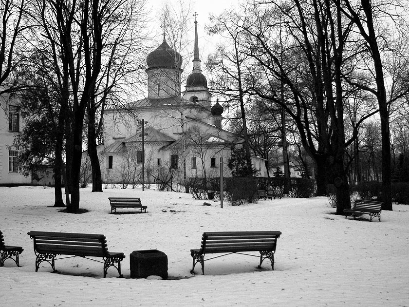 в старом парке