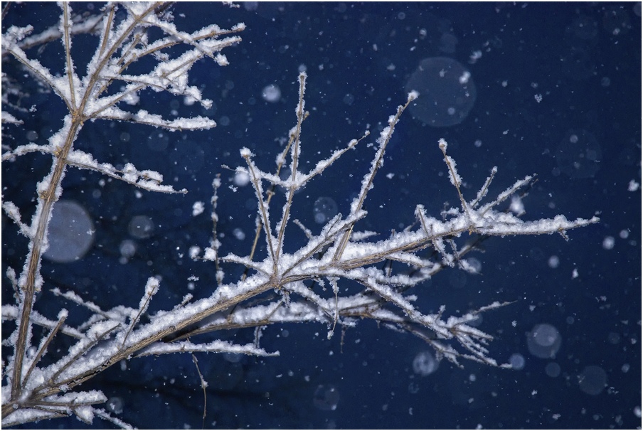 У нас весна. А у вас?